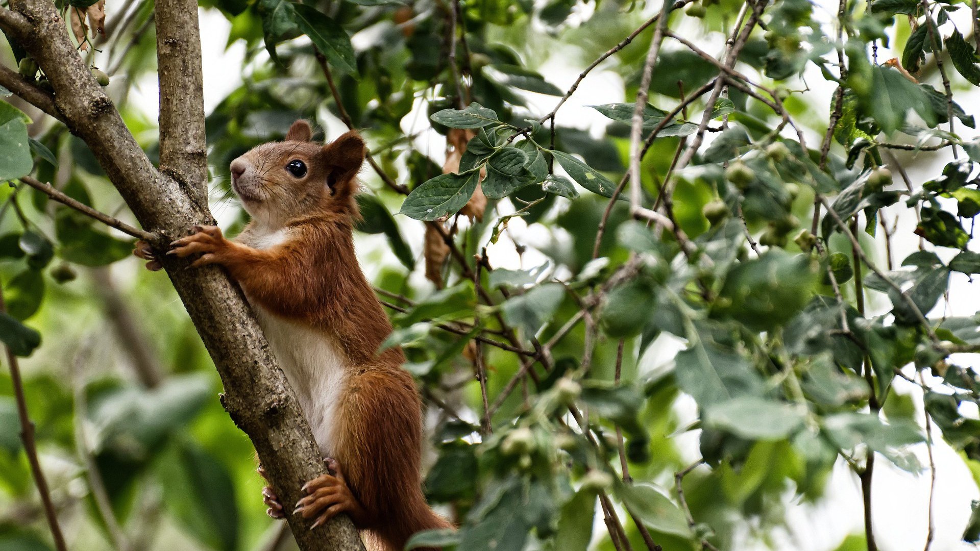 开云kaiyun-_季前赛火热开打，顶尖选手蓄势待发_，季前赛名单