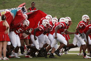 kaiyun体育综合-球迷助威声点燃比赛氛围，球迷助威口号